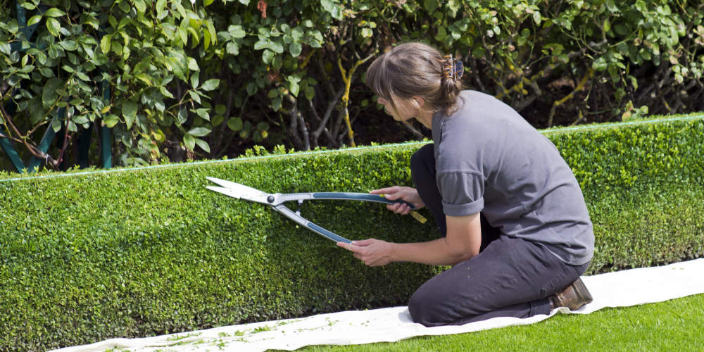 Profesionales en mantenimiento de jardines