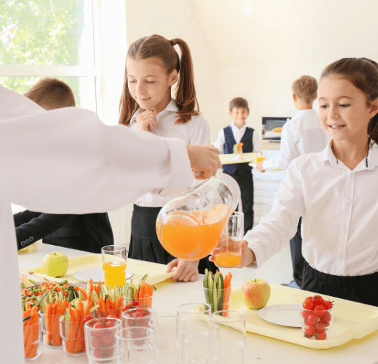 servicios escolares: atención en comedor